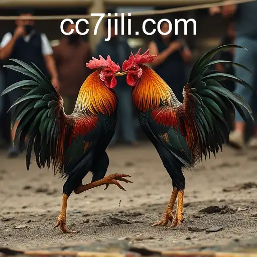 The Complex World of Cockfighting: Beyond the Arena